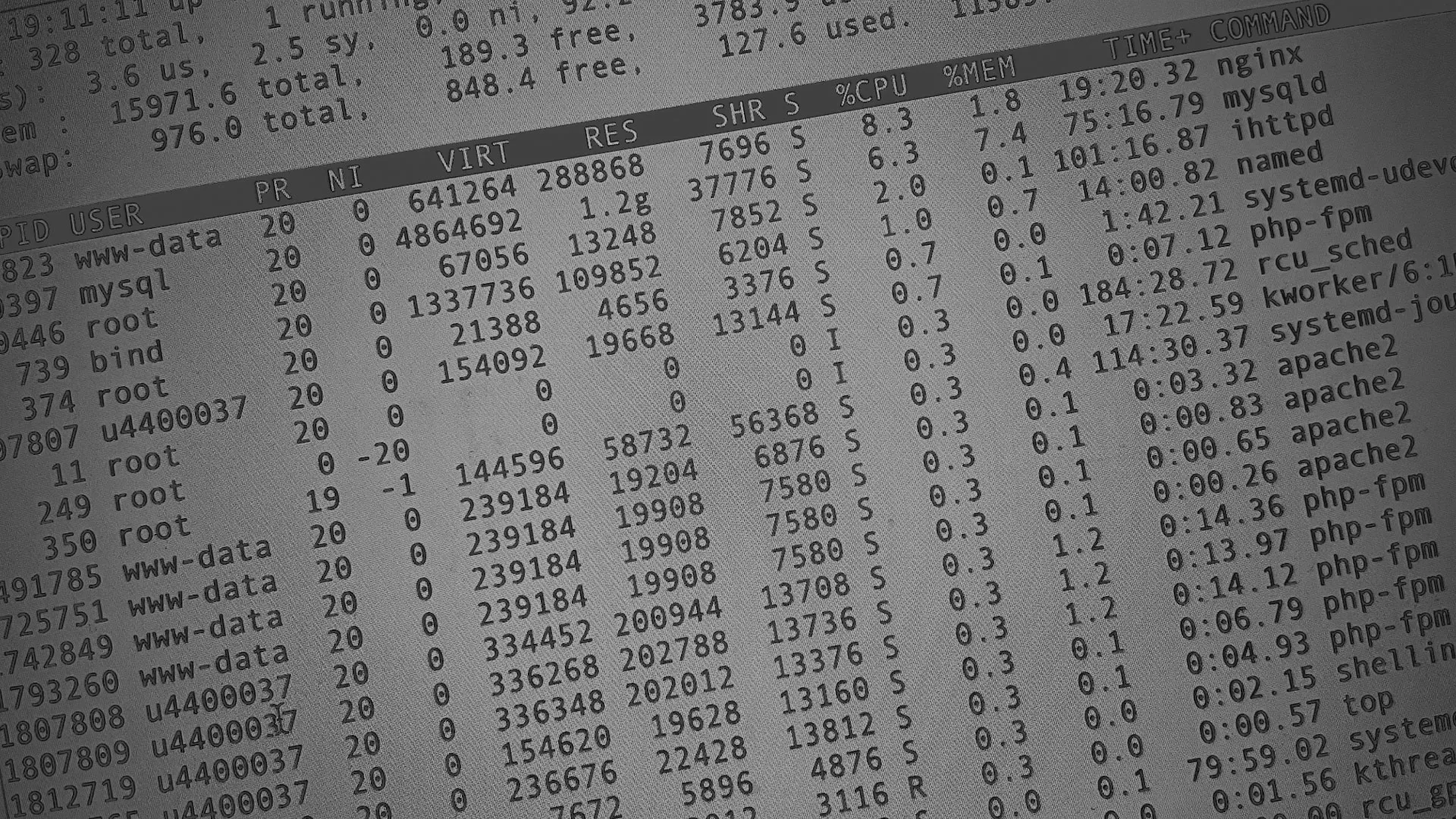 Настройка сервера в Протвино