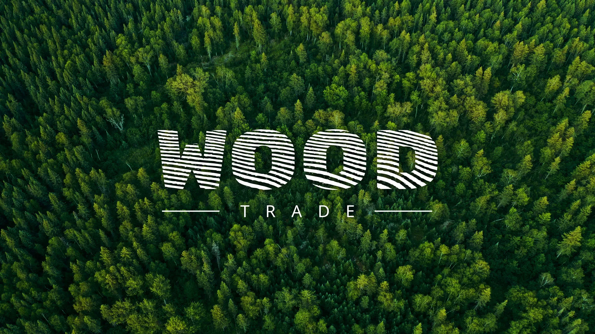 Разработка интернет-магазина компании «Wood Trade» в Протвино