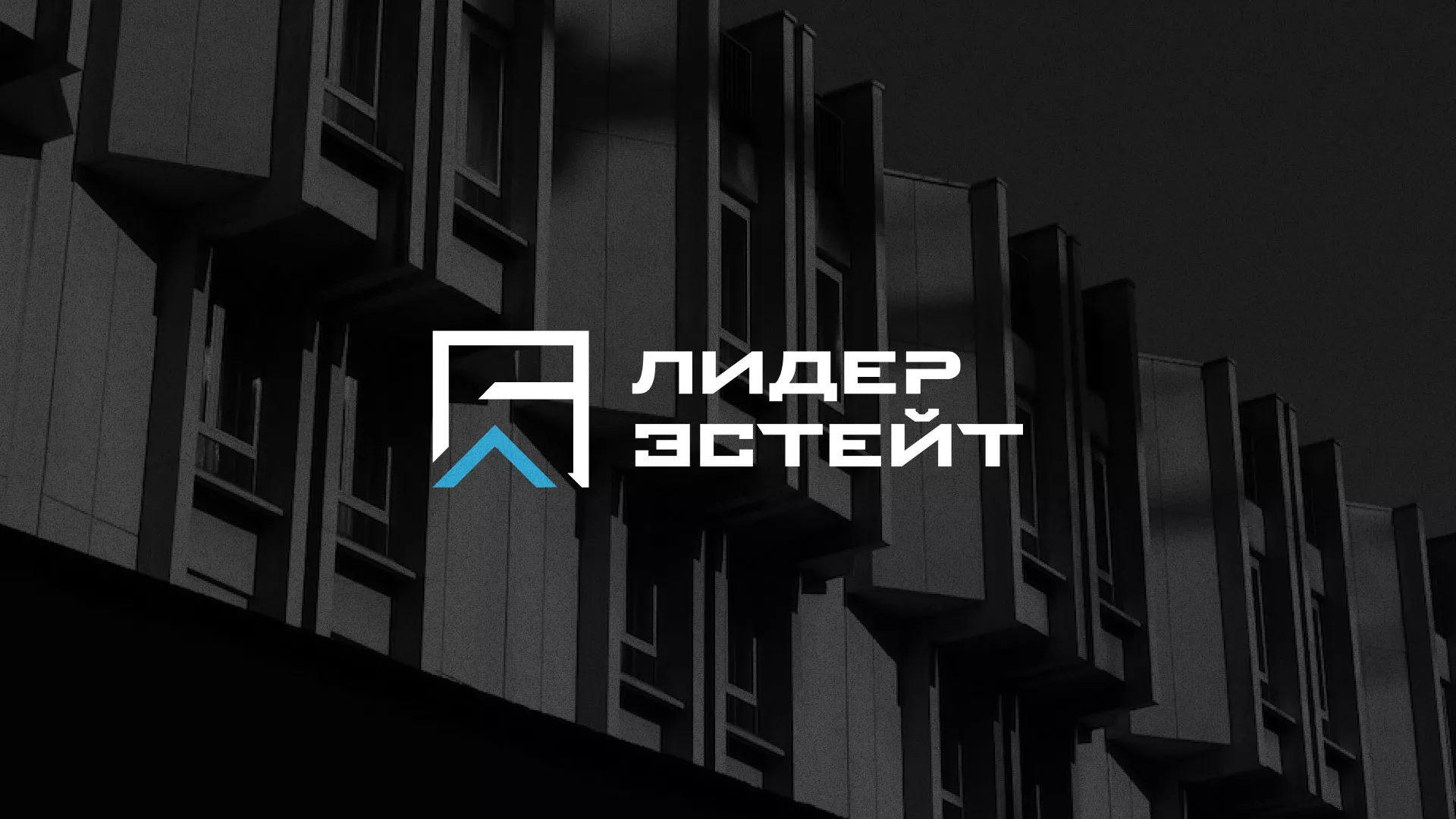 Разработка логотипа агентства недвижимости «Лидер Эстейт» в Протвино