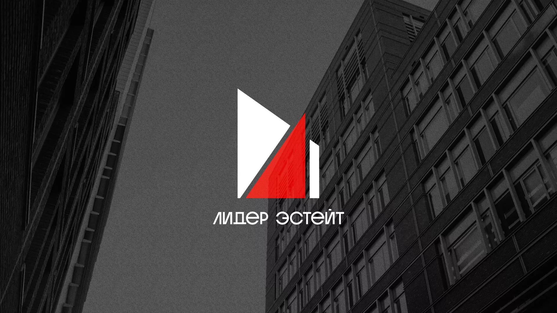 Сделали логотип для агентства недвижимости «Лидер Эстейт» в Протвино